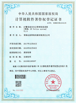 软件著作权