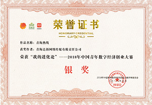 2018年中国青年数字经济创业大赛银奖