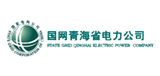 国网青海