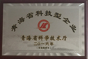 青海省科技型企业